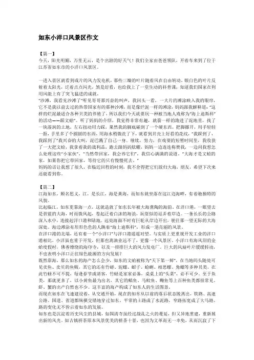 如东小洋口风景区作文