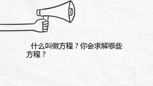 《阅读与思考 中外历史上的方程求解》PPT课件(湖南省县级优课)