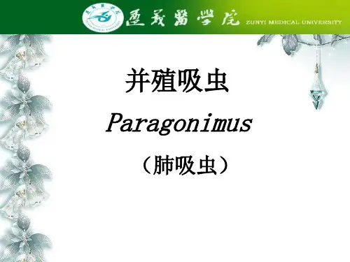 第四节并殖吸虫(肺吸虫)