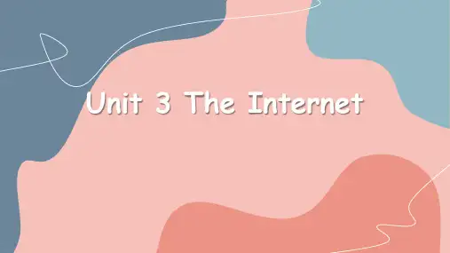 《The Internet》PPT课件