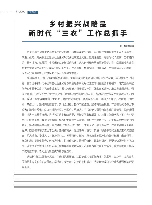 乡村振兴战略是新时代“三农”工作总抓手