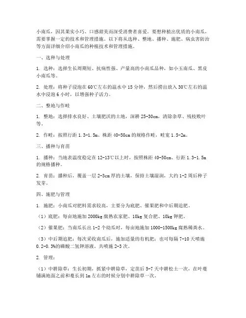 种植小南瓜技术管理措施