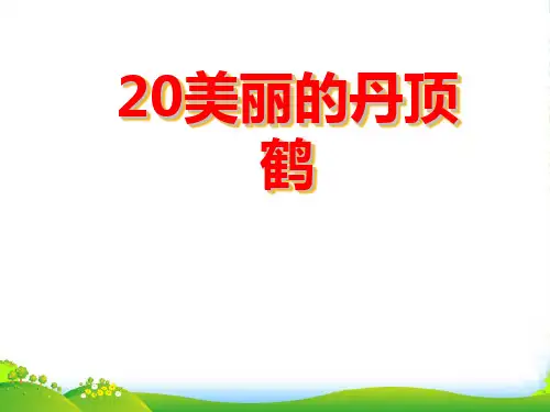 小学二年级上学期语文《美丽的丹顶鹤》PPT课件