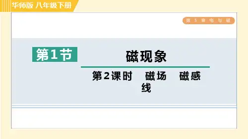 华师版八年级下册科学 第5章 5.1.2磁场 磁感线 习题课件