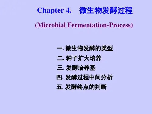 南开大学微生物发酵工程-4微生物发酵过程