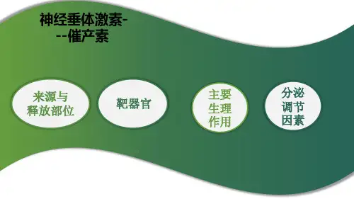 内分泌系统—下丘脑与垂体(正常人体机能课件)