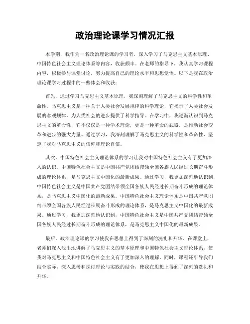 政治理论课学习情况汇报