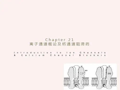 离子通道概论及钙通道阻滞药