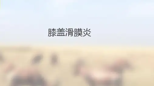 膝盖滑膜炎PPT课件