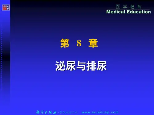 第8章 尿的生成和排泄 生理学