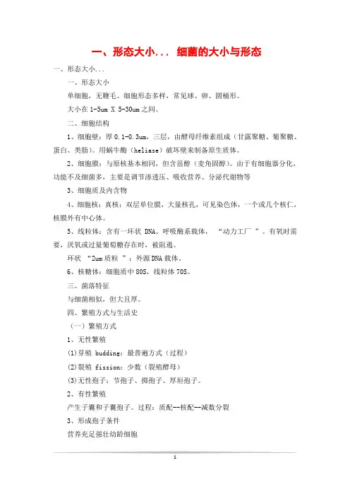 一、形态大小... 细菌的大小与形态
