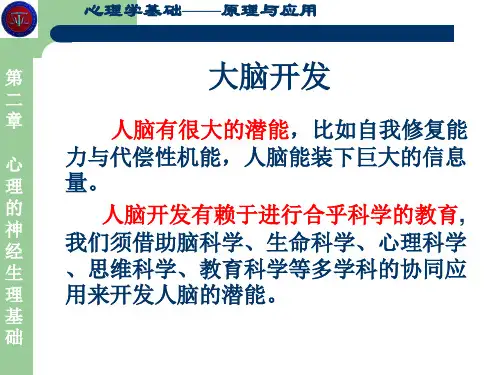 大脑潜能开发 PPT课件