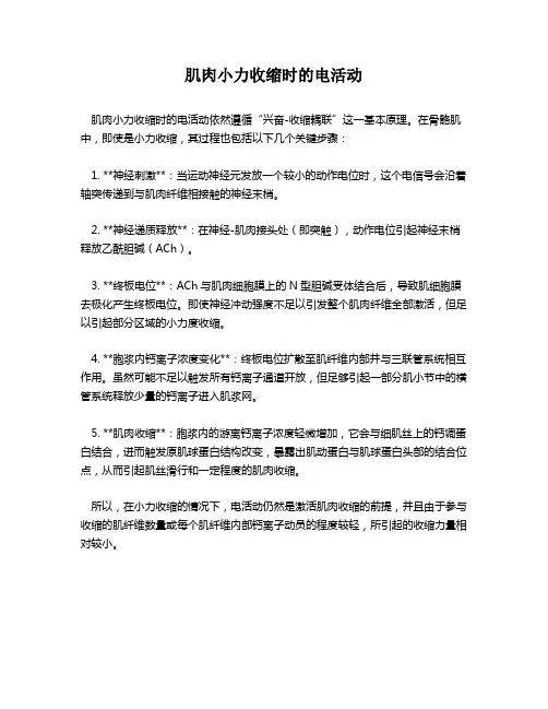 肌肉小力收缩时的电活动