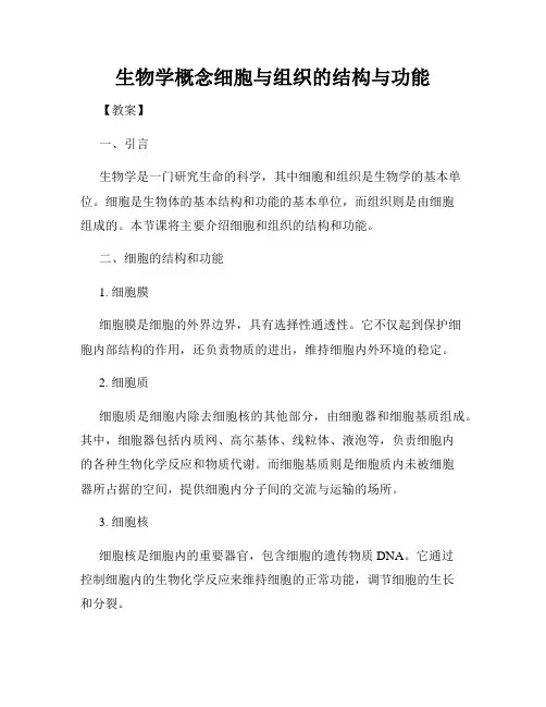生物学概念细胞与组织的结构与功能