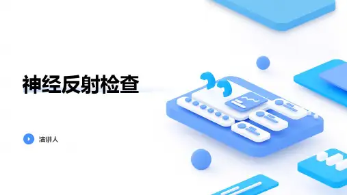神经反射检查