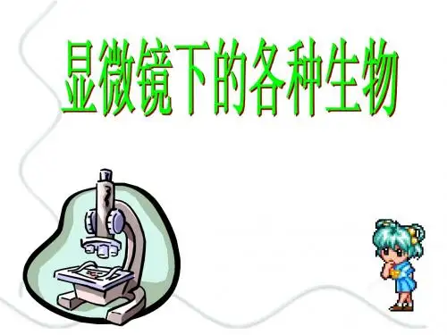 显微镜下的各种生物1、2
