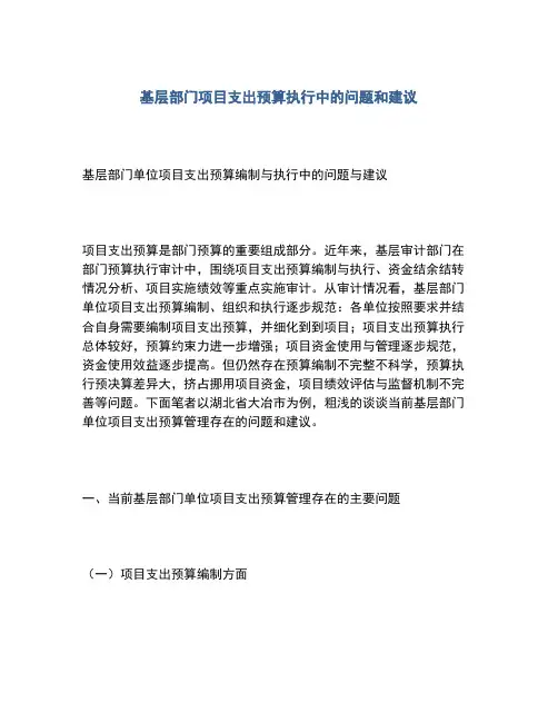 2020年基层部门项目支出预算执行中的问题和建议