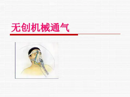 无创机械通气 PPT课件