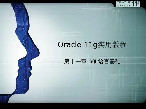 Oracle数据库开发实用教程第十一章资料精品PPT课件