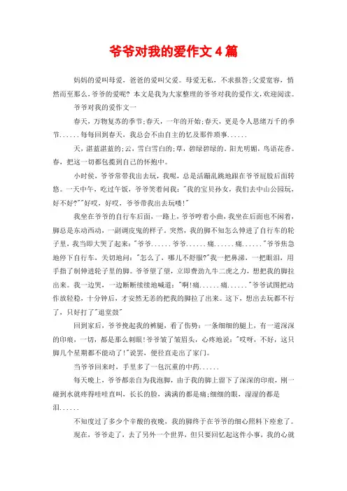 爷爷对我的爱作文4篇