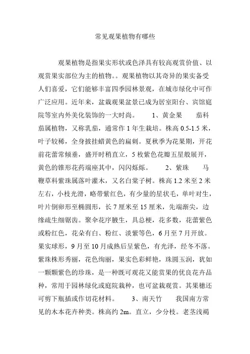 常见观果植物有哪些