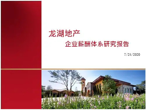 龙湖地产标杆地产公司薪酬体系研究龙湖