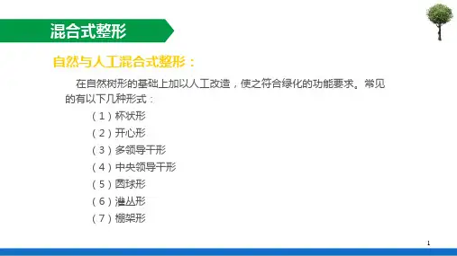 园林树木整形与修剪—整形技法