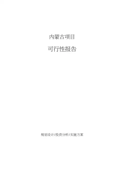 内蒙古项目可行性报告(立项备案)