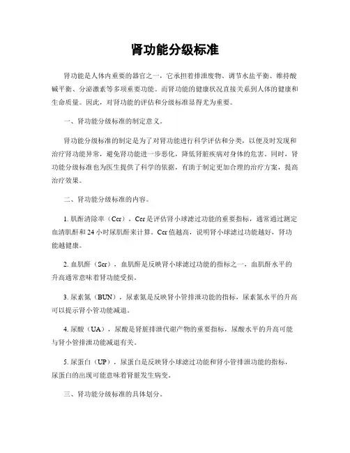 肾功能分级标准