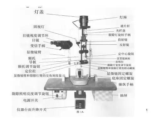 裂隙灯PPT课件