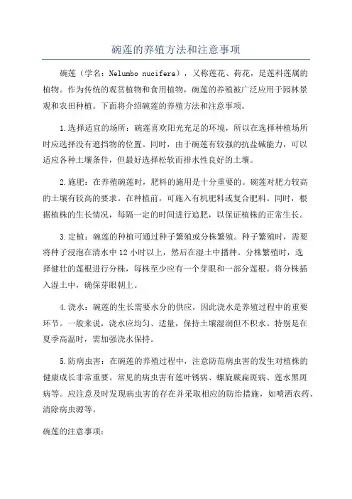 碗莲的养殖方法和注意事项