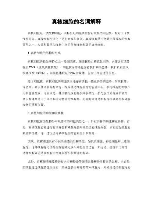 真核细胞的名词解释