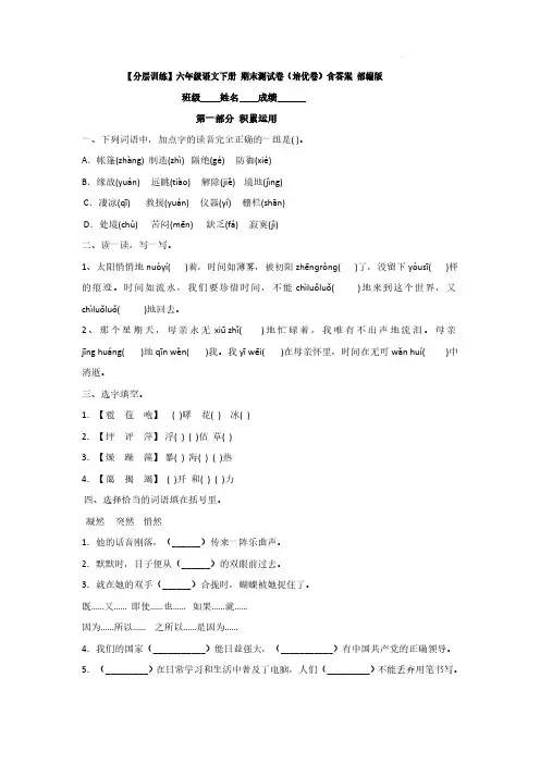 【分层训练】六年级语文下册 期末测试卷(培优卷)含答案 部编版