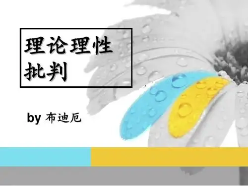 理论理性批判 布迪厄