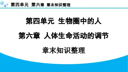 七年级下册生物【习题】第六章章末知识整理