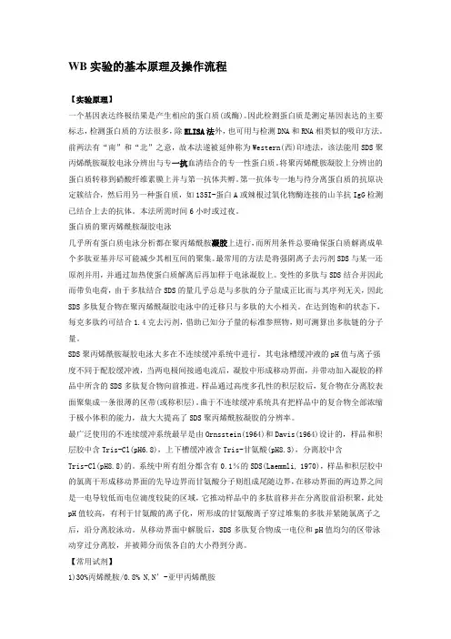 WB操作原理以及流程细节