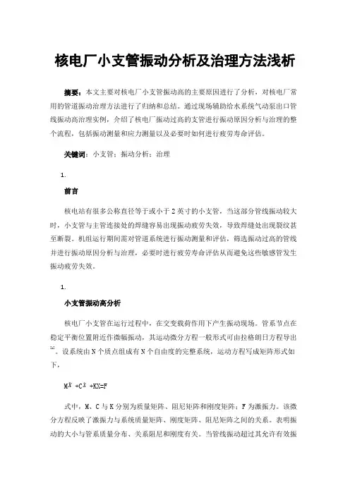 核电厂小支管振动分析及治理方法浅析