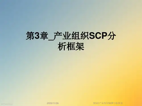 第3章产业组织SCP分析框架