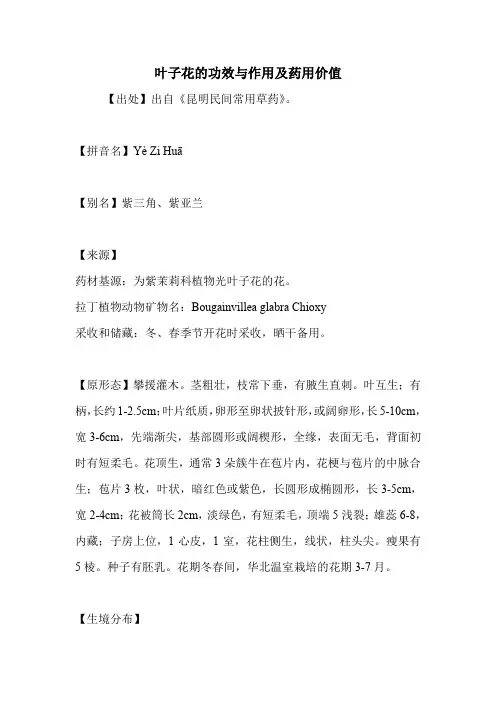 叶子花的功效与作用及药用价值