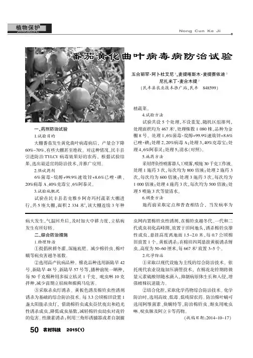 番茄黄化曲叶病毒病防治试验