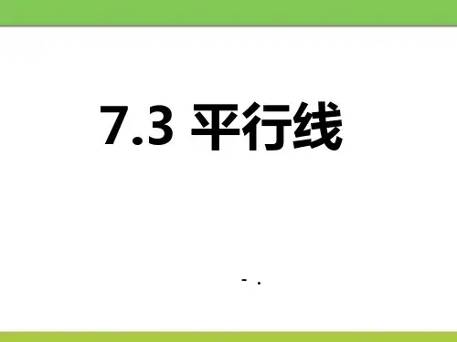 《平行线》PPT课件