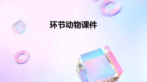 环节动物课件