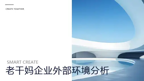 老干妈企业外部环境分析