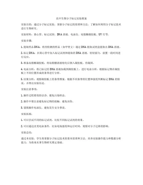 高中生物分子标记实验教案