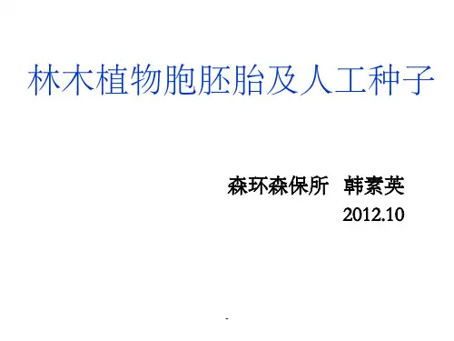体细胞胚及人工种子