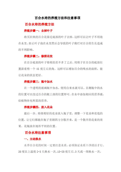 百合水培的养殖方法和注意事项