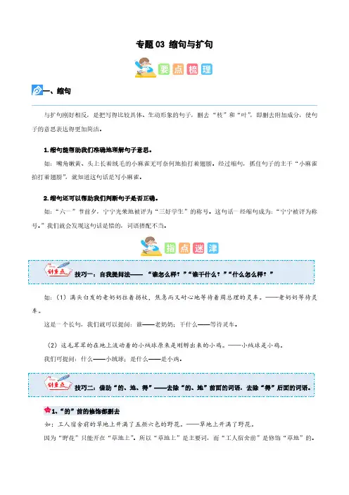 专题03缩句与扩句(解析版)