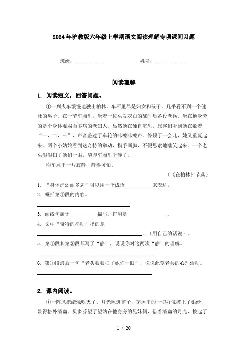 2024年沪教版六年级上学期语文阅读理解专项课间习题