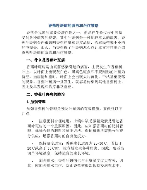 香蕉得了叶斑病怎么办香蕉叶斑病的防治和治疗策略