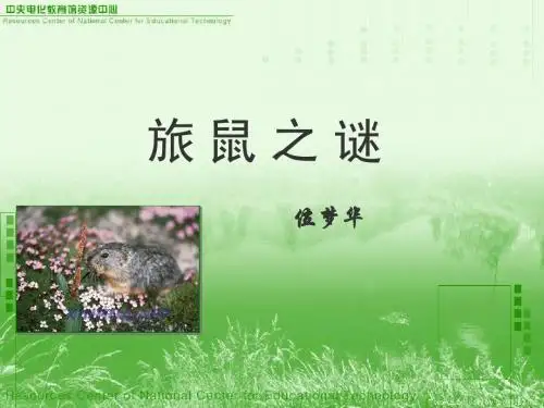 第13课    旅鼠之谜
